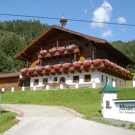 Appartement Moserhof Schladming